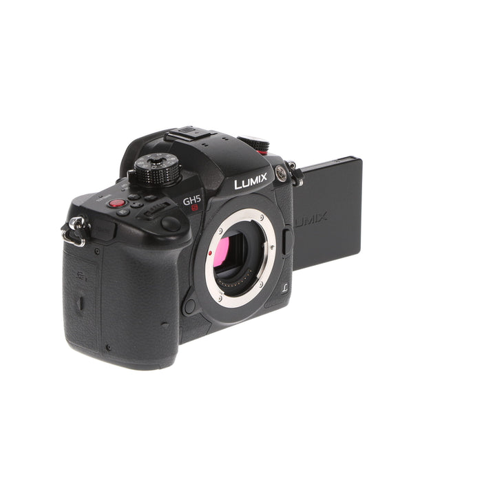 【中古品】Panasonic DC-GH5S-K ミラーレス一眼カメラ GH5S(ボディ)