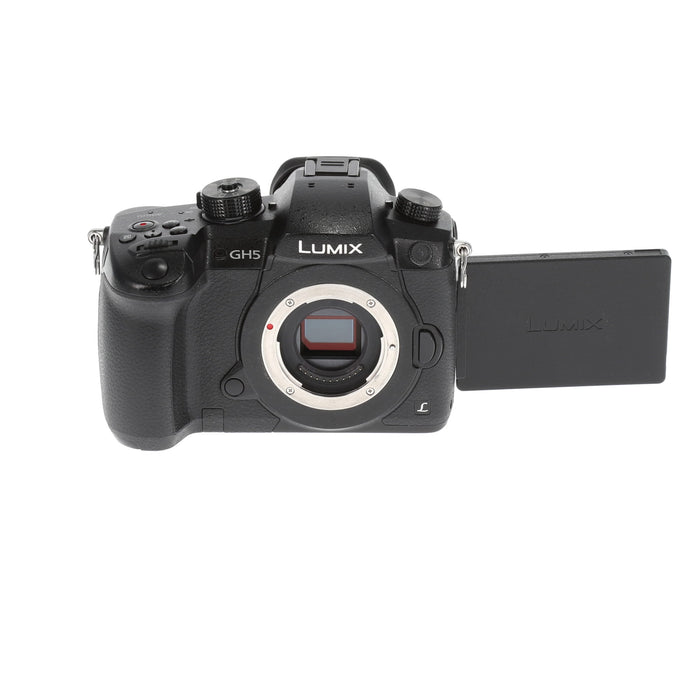 【中古品】Panasonic DC-GH5S-K ミラーレス一眼カメラ GH5S(ボディ)