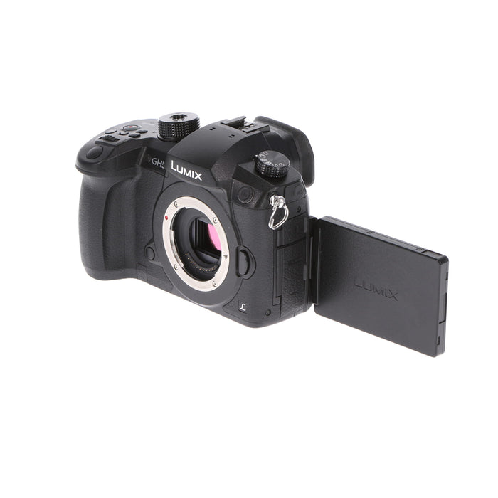 日産 販売 LUMIX DC-GH5 ミラーレス一眼 本体 【公式通販】