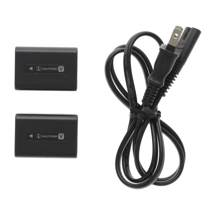 【中古品】SONY AC-VQV10 ACアダプター/チャージャー(バッテリーパック2個付属)