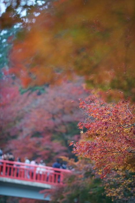 中一光学 CREATOR 2.8/135mm II (PK) BK CREATOR 135mm F2.8 II(Kマウント)