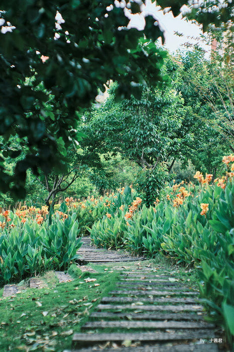 TTArtisan 50mm f/0.95C X (BS) 50mm f/0.95 C(Xマウント)