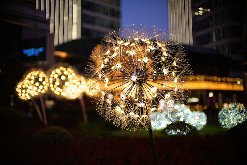 中一光学 SPEEDMASTER 0.95/50mm EF SPEEDMASTER 50mm F0.95 EF(EFマウント)