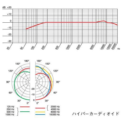 AKG CGN99H/S グースネック型コンデンサマイクロホン(ハイパーカーディオイド)