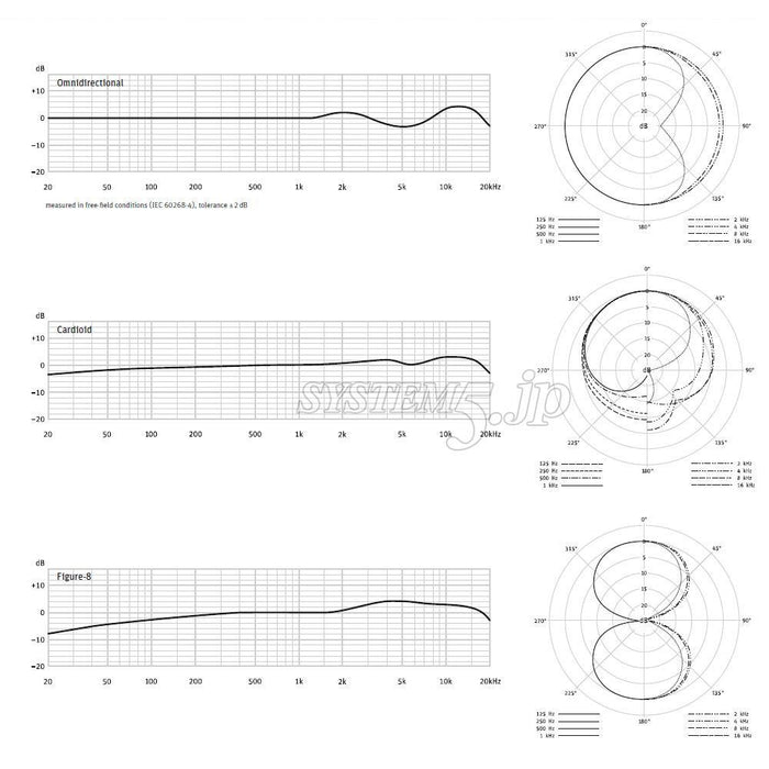 Neumann D-01 Single Microphone デジタルラージダイヤフラムマイクロフォン(ニッケル)