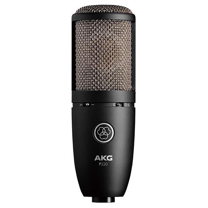 AKG P2 ダイナミックマイク 美品 アーカーゲー AKG P2 楽器用ダイナミックマイク(高い音圧に余裕