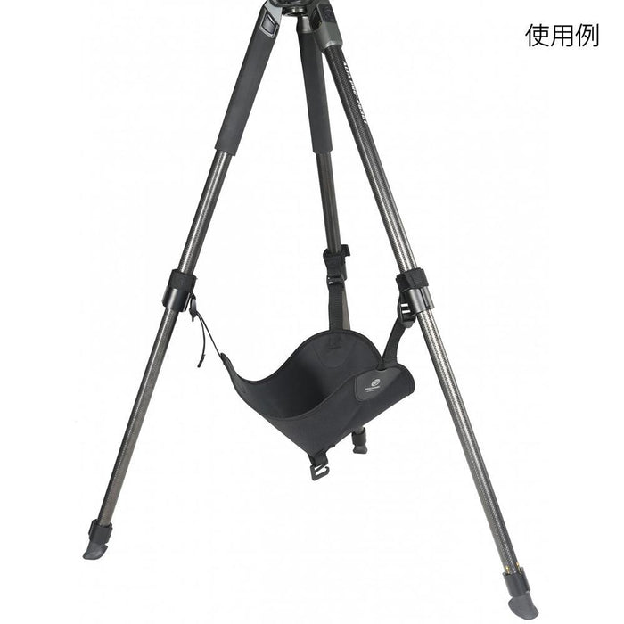 VANGUARD ALTA SBM ストーンバッグ