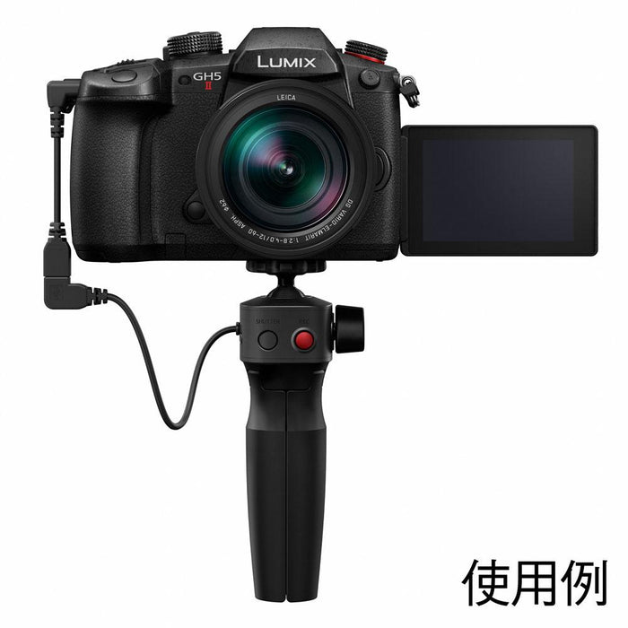Panasonic DC-GH5M2M デジタル一眼カメラ GH5 II(標準ズームレンズ
