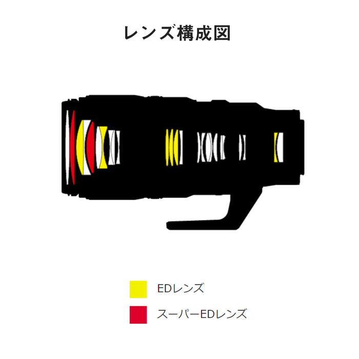 Nikon NIKKOR Z 100-400mm f/4.5-5.6 VR S 超望遠ズームレンズ